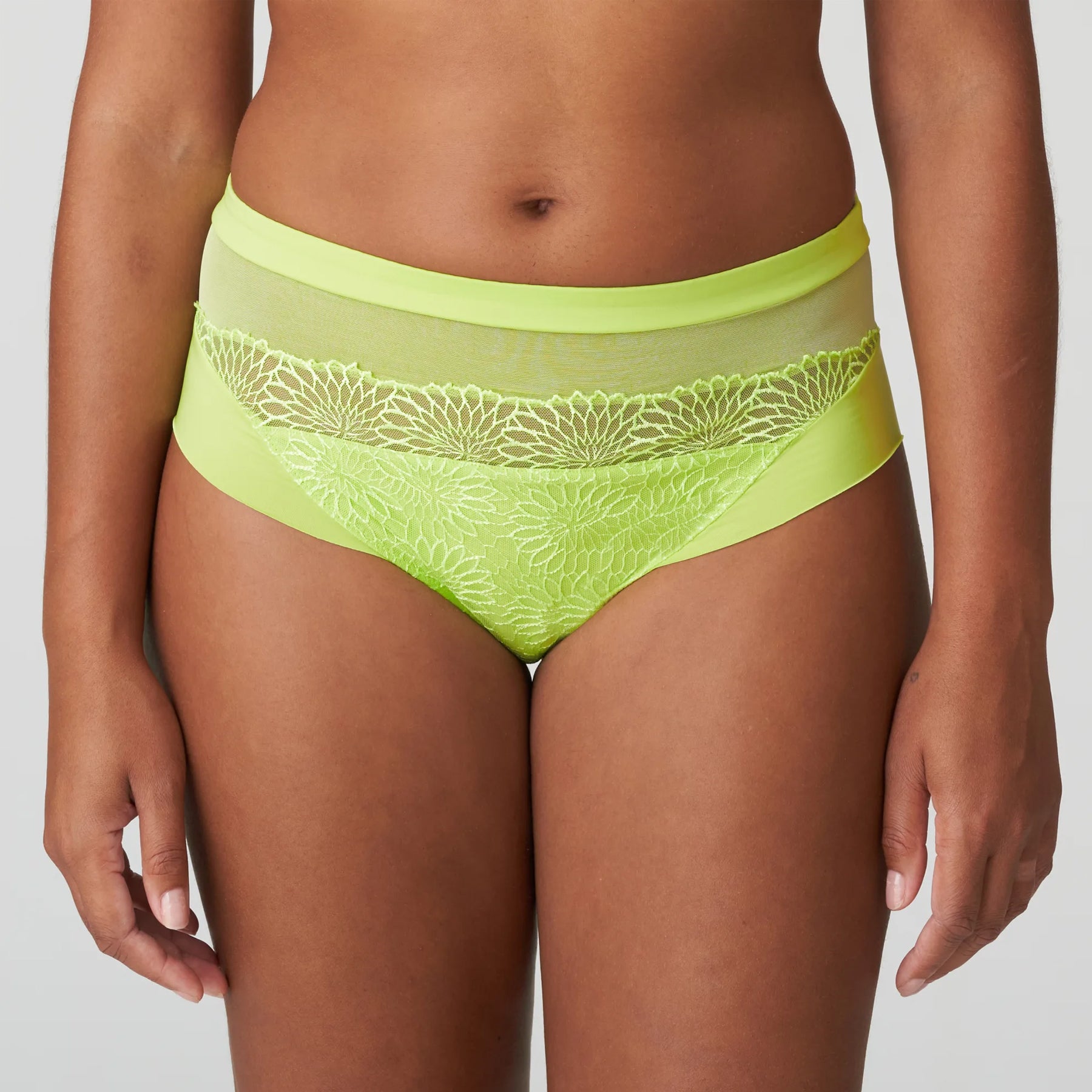 PrimaDonna Sophora Full Brief