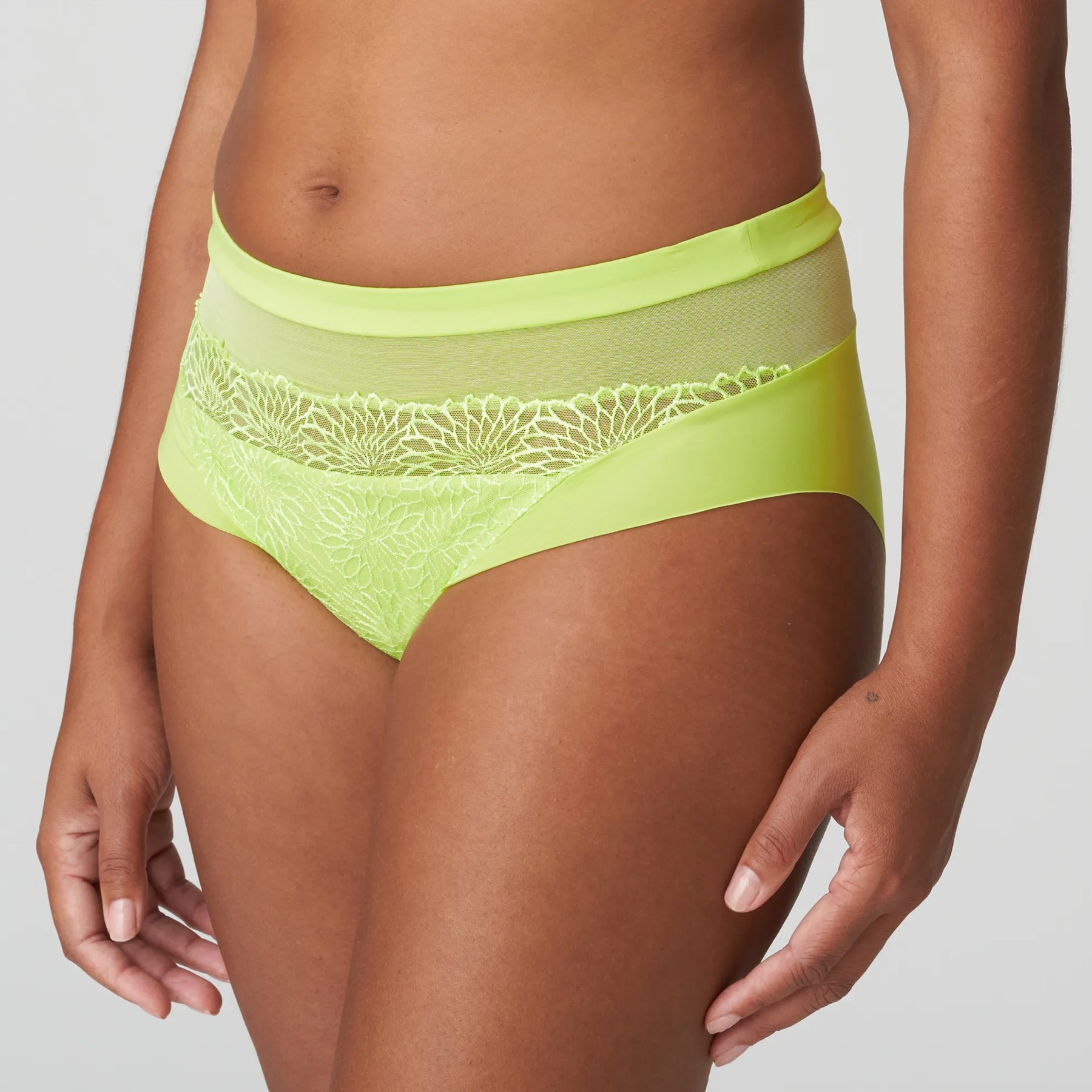 PrimaDonna Sophora Full Brief