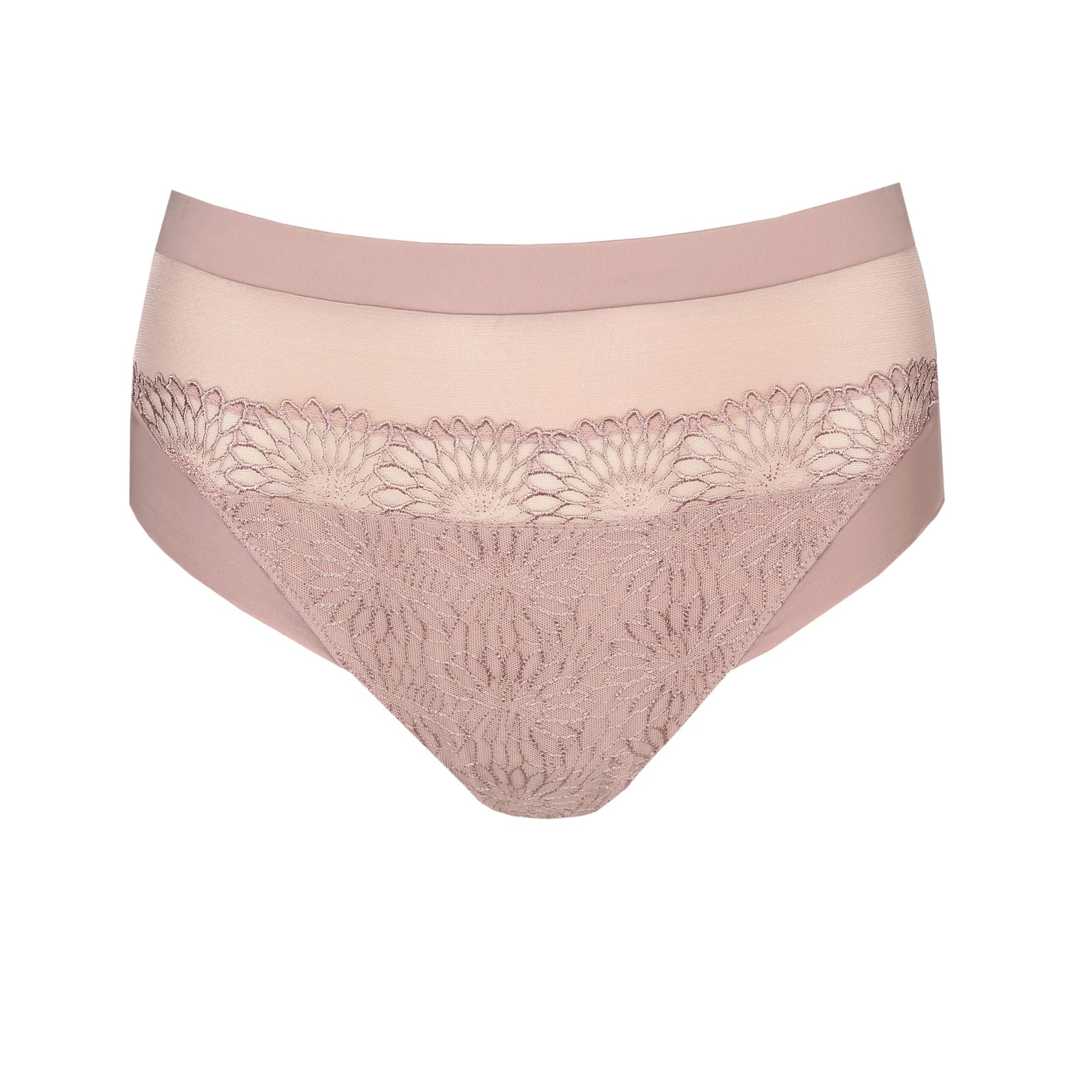 PrimaDonna Sophora Full Brief