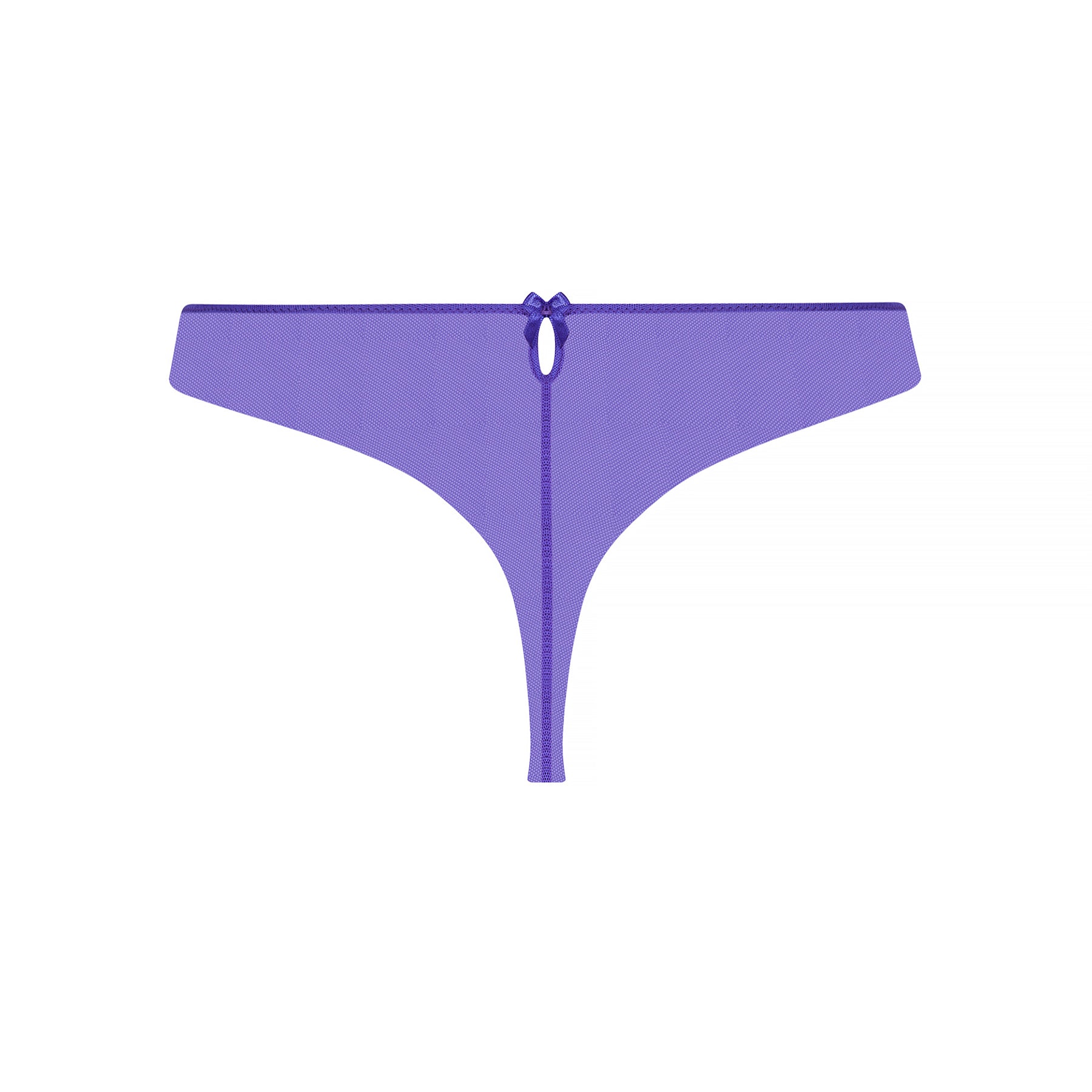 Thong panty in purple ocean blue with embroidery detail on silk and tulle. Rear view without model.