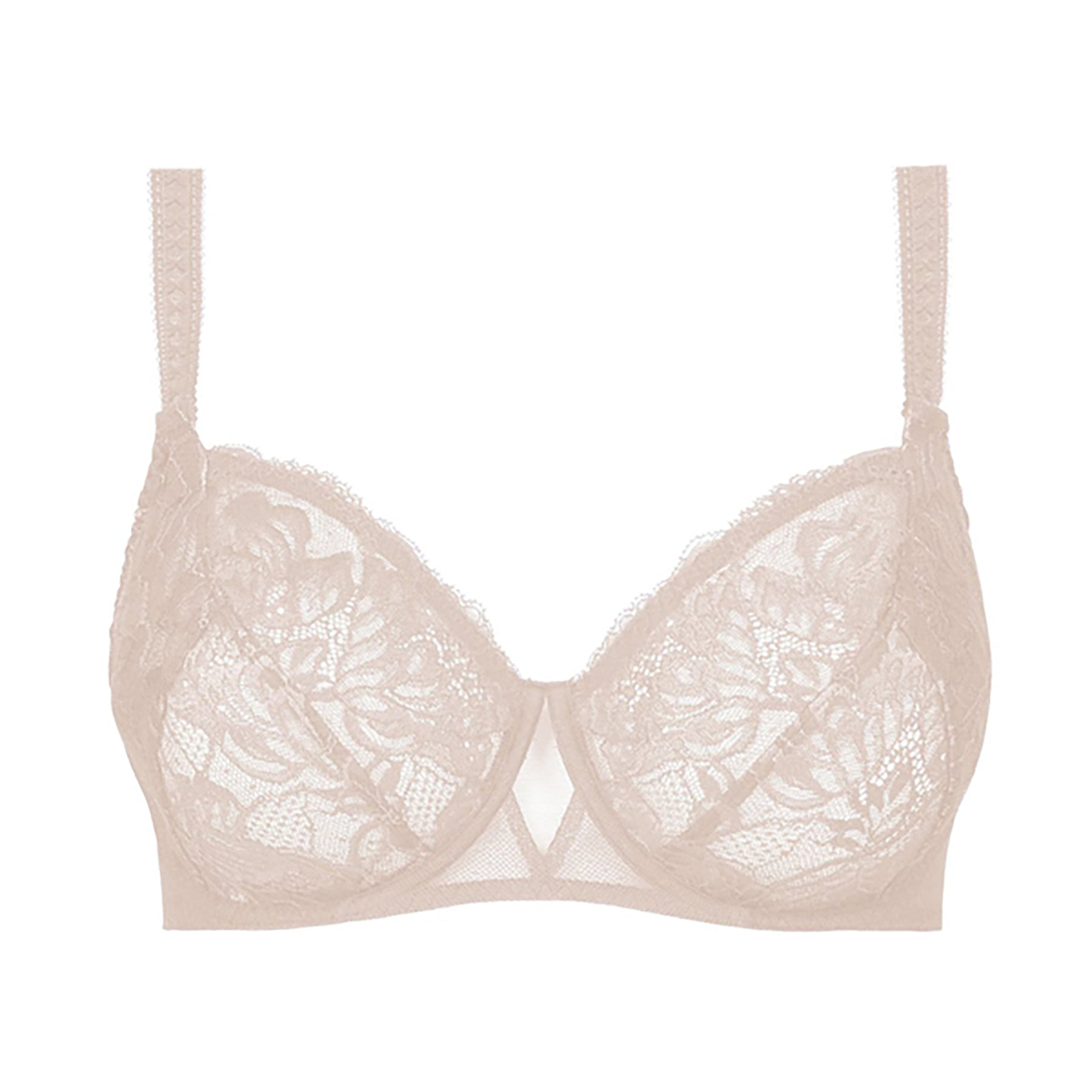 Beautiful, Full Cup Designer Bra Collection