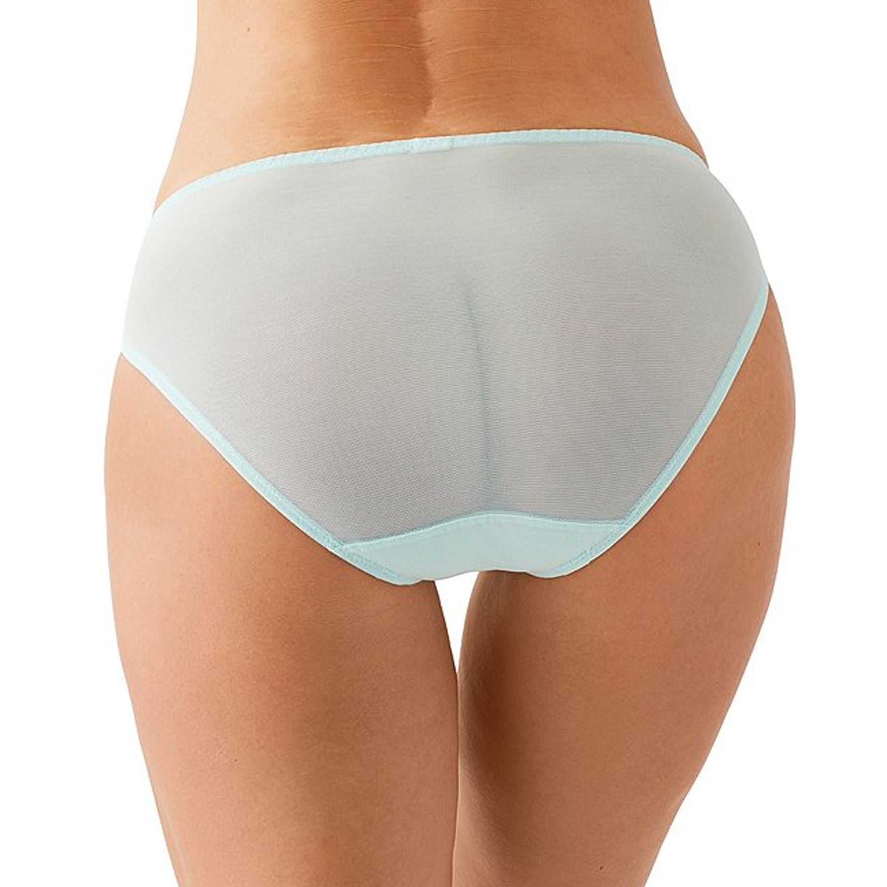 Mid rise bikini panty in sheer eggshell/brittany blue panty with tonal embroidery details. Rear view on model.