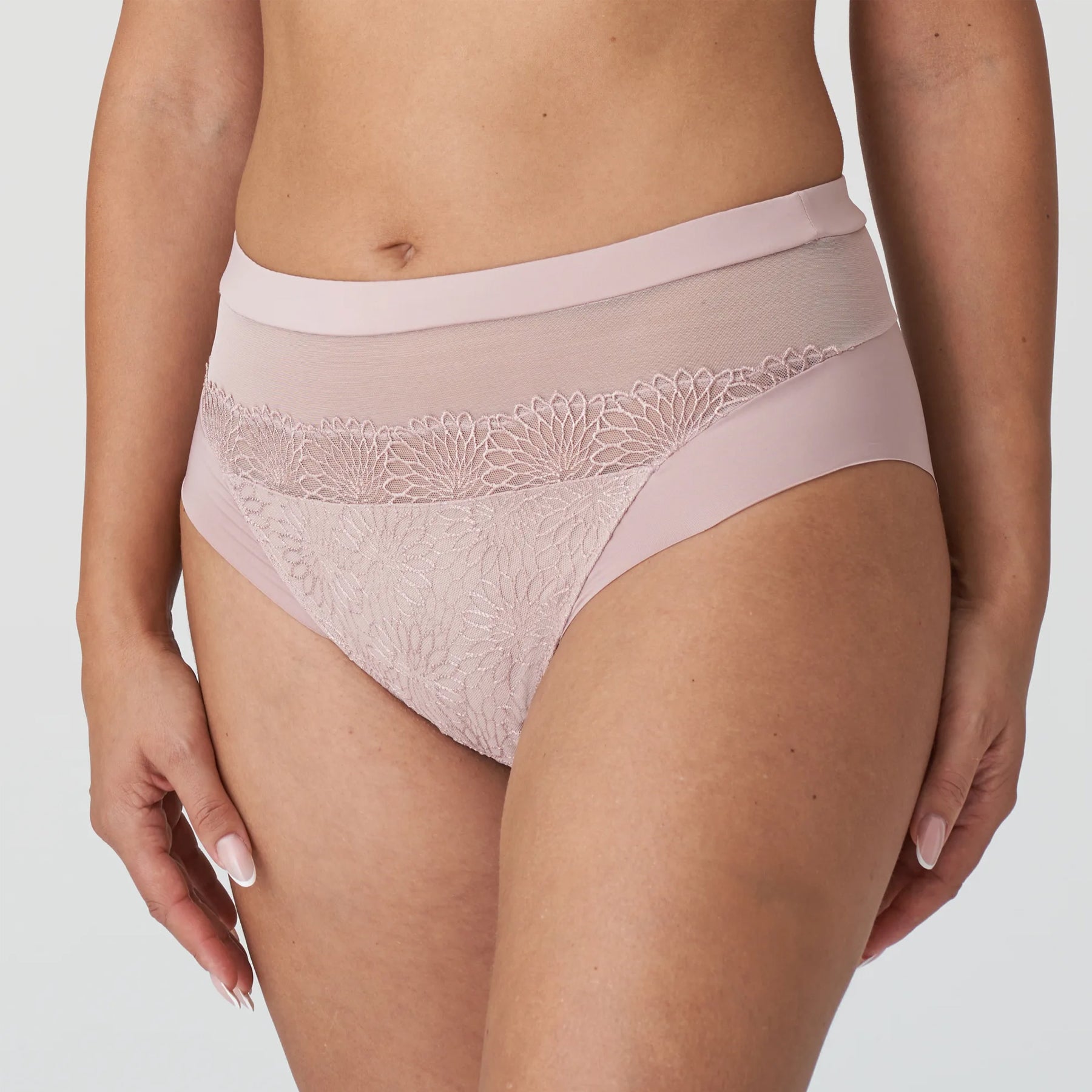 PrimaDonna Sophora Full Brief